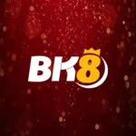 โลโก้เว็บไซต์คาสิโน BK8
